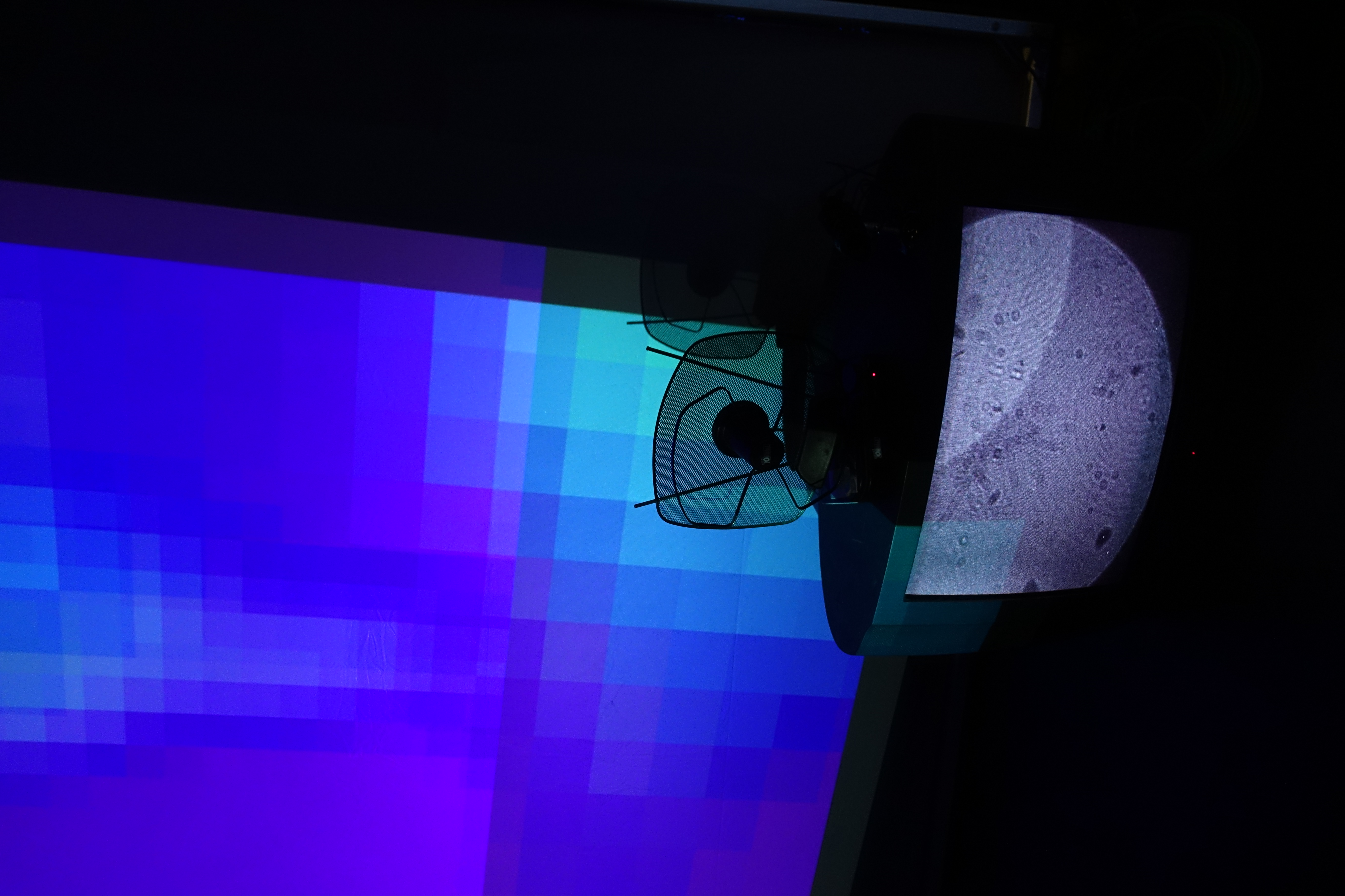media_mess_nantes_f_taro_52.jpg