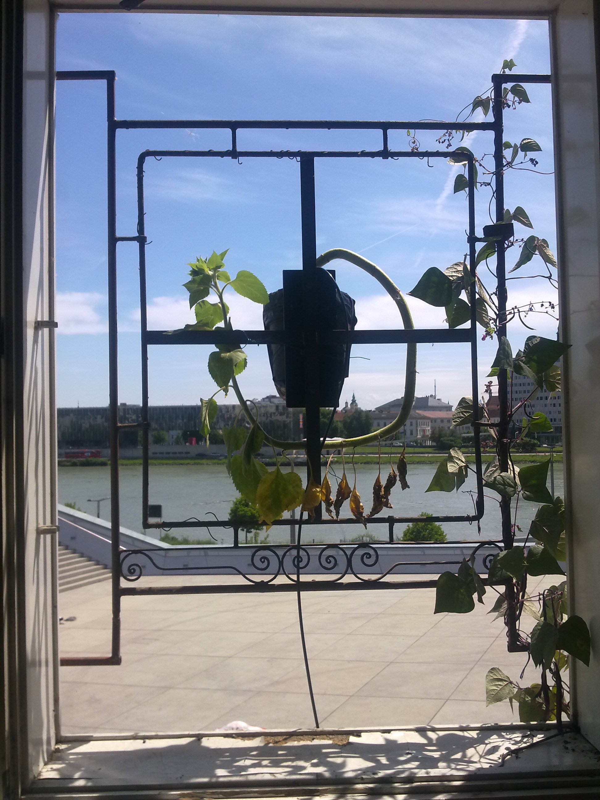 19072011361.jpg